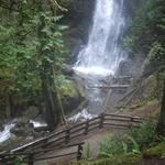 Marymere Falls Trail