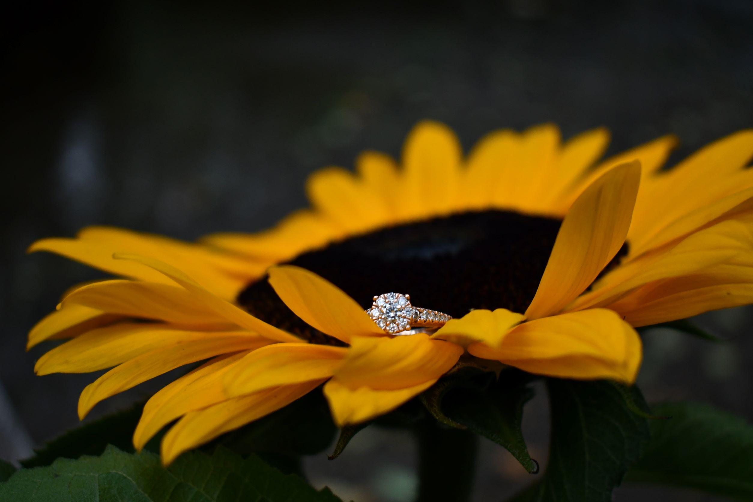 The Wedding Website of Caitlin McConnell and Brendan Bardellini
