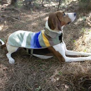 Rocky Mountains Pet Coat