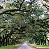 Wormsloe Historic Site