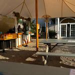 Mad Minnow Bar & Kitchen