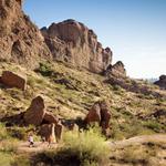 Cholla Trailhead Camelback Mountain