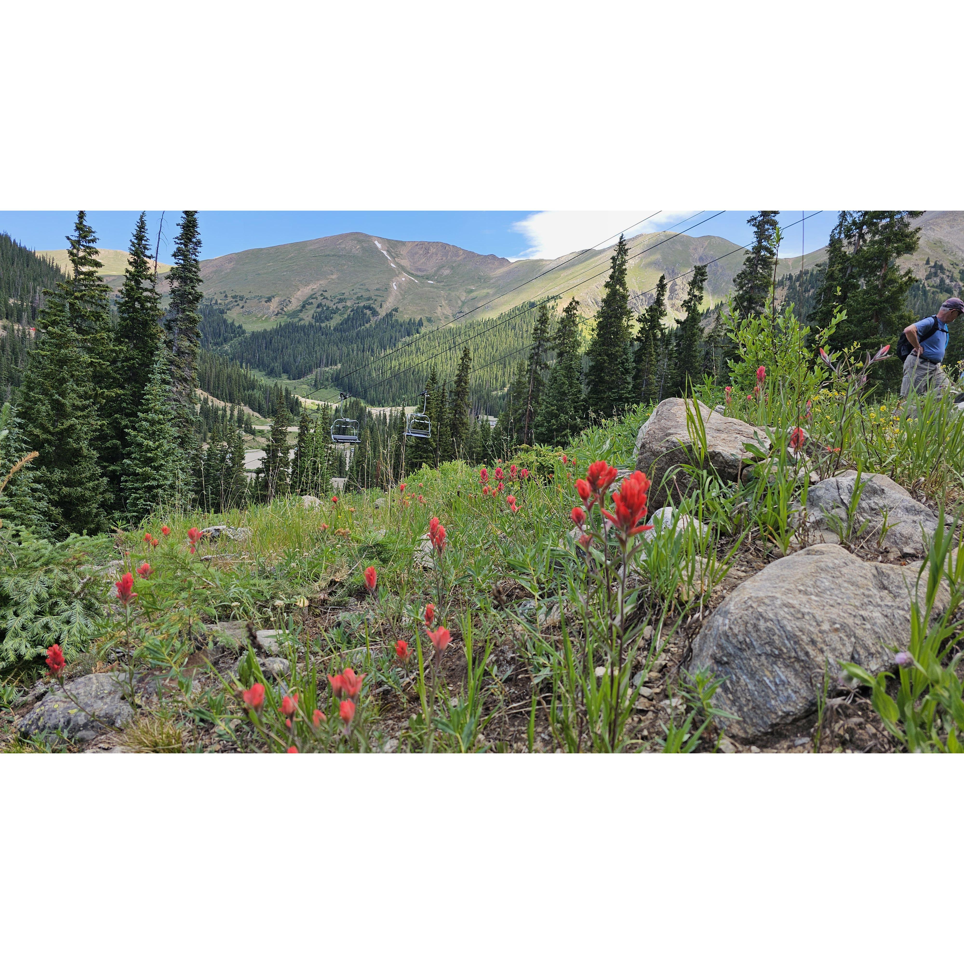 Arapahoe Basin Ski Area