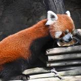 Sedgwick County Zoo