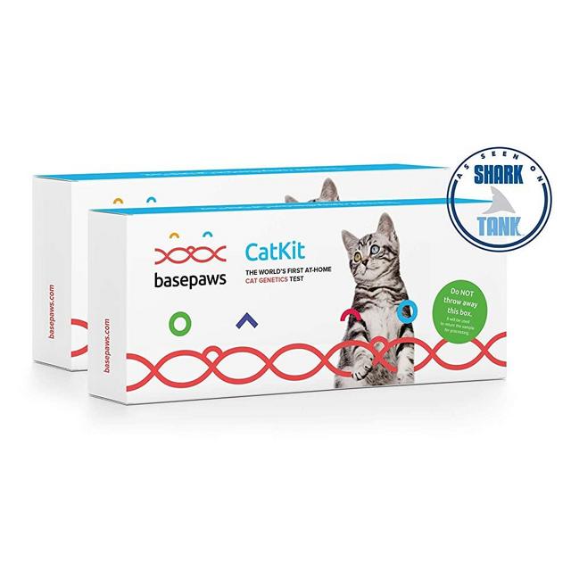 Basepaws | Cat DNA Test Kit | Breed, Health & Wildcat Index | As Seen On Shark Tank and Ellen’s List (Pack of 1, 2, or 3)