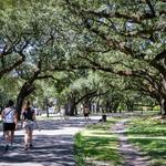 Audubon Park