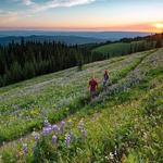 Sun Peaks Hiking