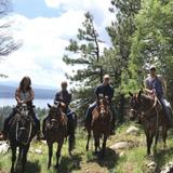 Ya-Hoo Corrals