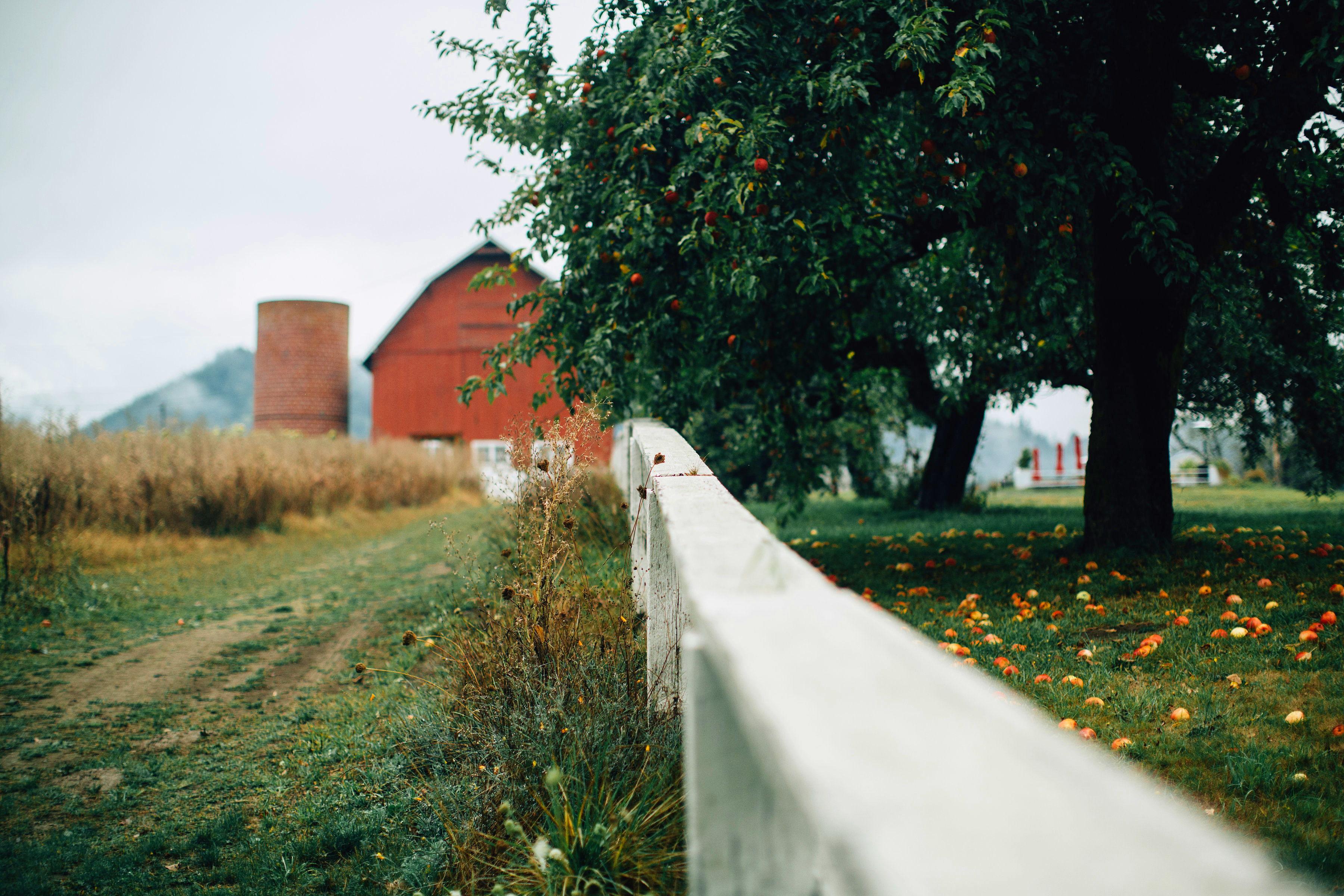 The Wedding Website of Judy Dan and Matt Dennis