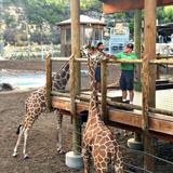 San Antonio Zoo