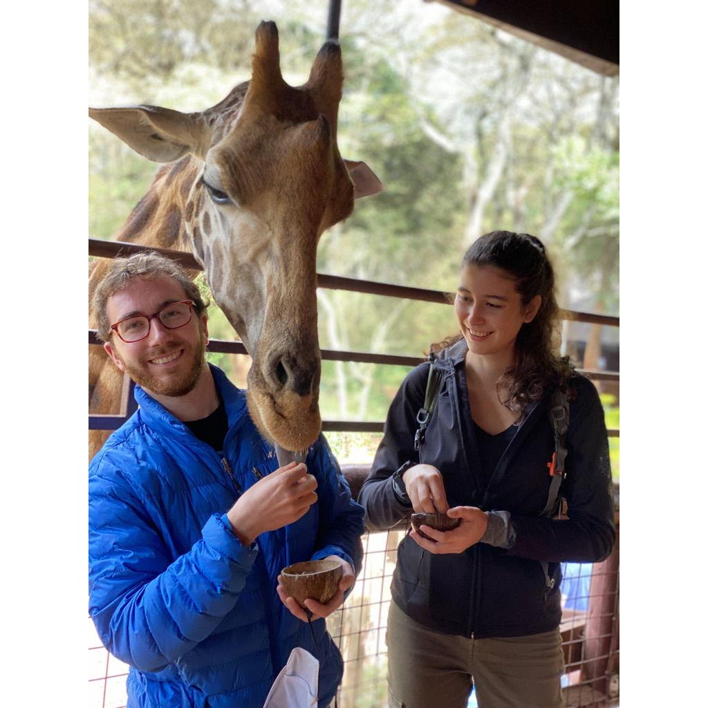 Feeding Giraffes in Nairobi