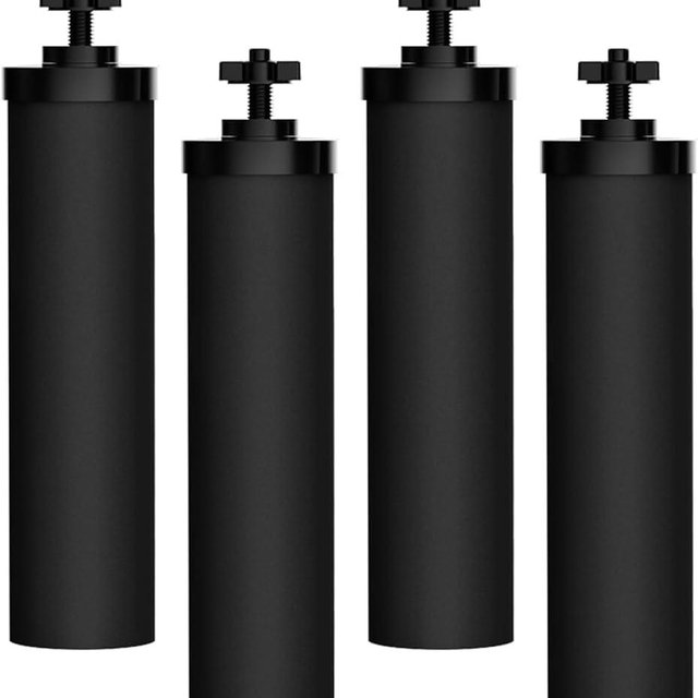 Filterlogic NSF/ANSI 372 Certified Water Filter, Replacement for Berkey® BB9-2® Black Purification Elements and Berkey® Gravity Filter System, Waterdrop King Tank Gravity-fed System, Pack of 4