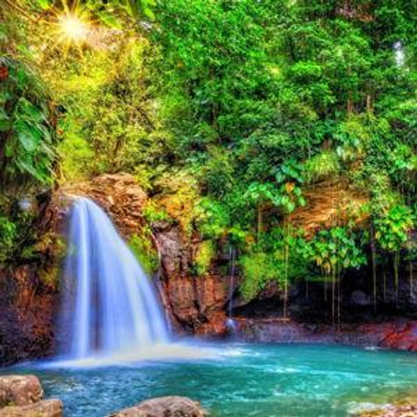 Our Tropical Honeymoon Fund