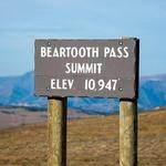 Drive the Beartooth Pass