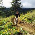 Mid Mountain Trail