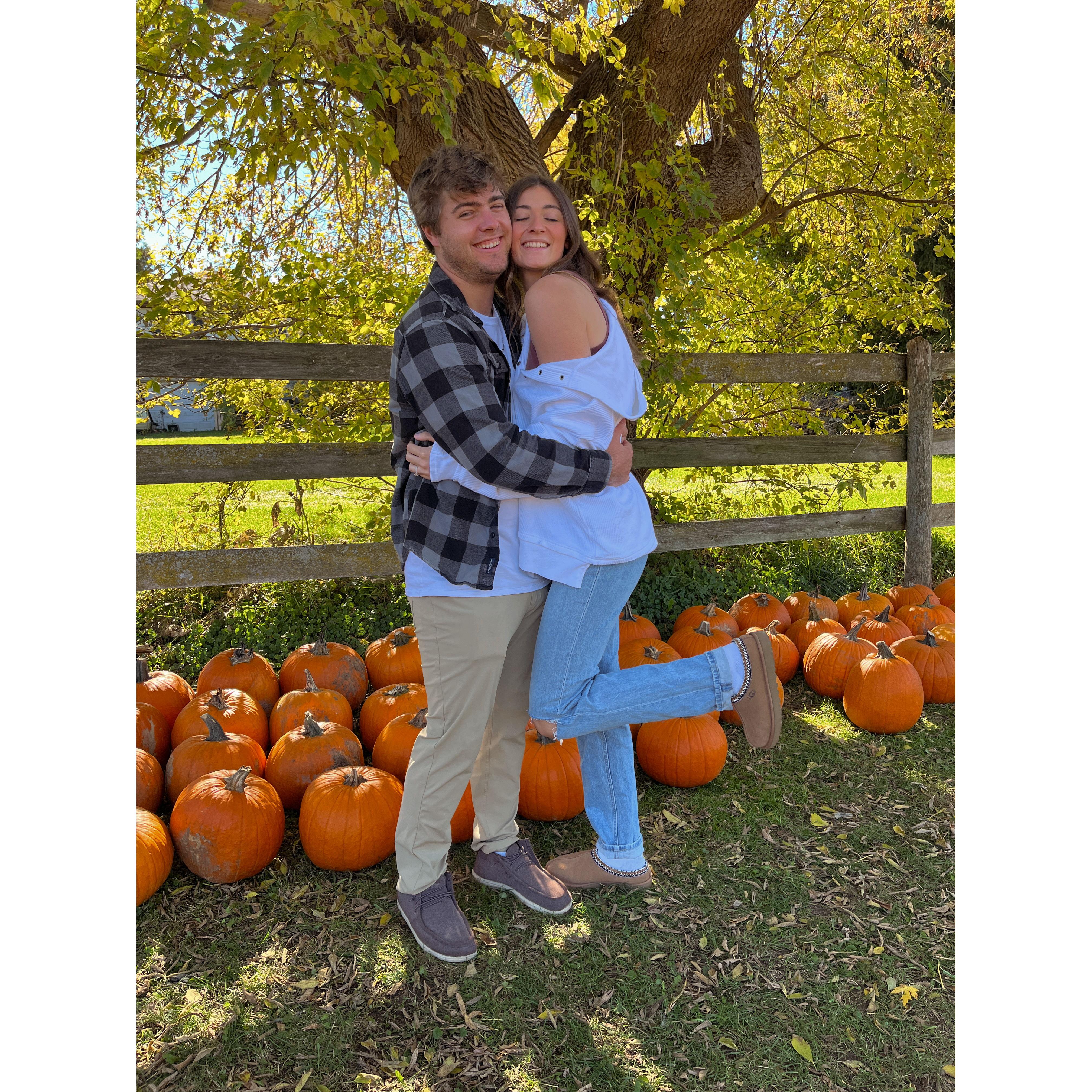 Pumpkin farm fall tradition