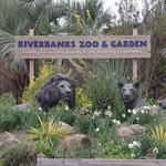 Riverbanks Zoo & Botanical Garden