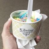 Kilwins Ice Cream - Chocolate - Fudge