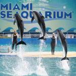 Miami Seaquarium