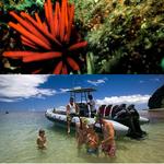 Napali Coast Snorkel Tours