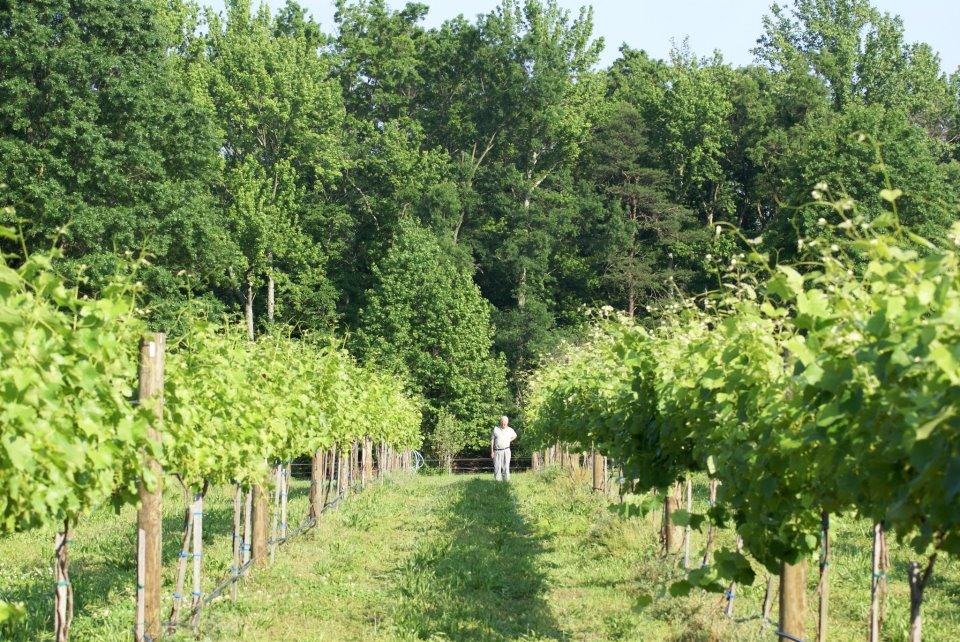 The Wedding Website of Chris Proctor and Tiffany Morris