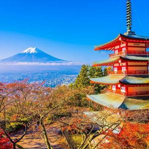 Our Honeymoon in Japan