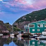 Quidi Vidi
