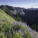 Hidden Peak Tram Ride