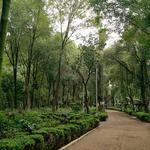 Parque México