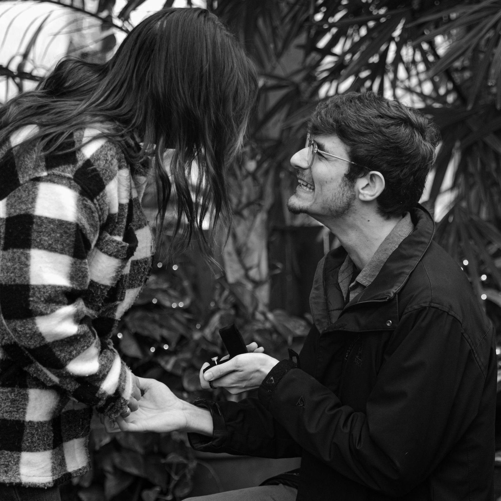 11/23/24, Lamberton Conservatory