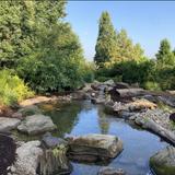 Secrest Arboretum