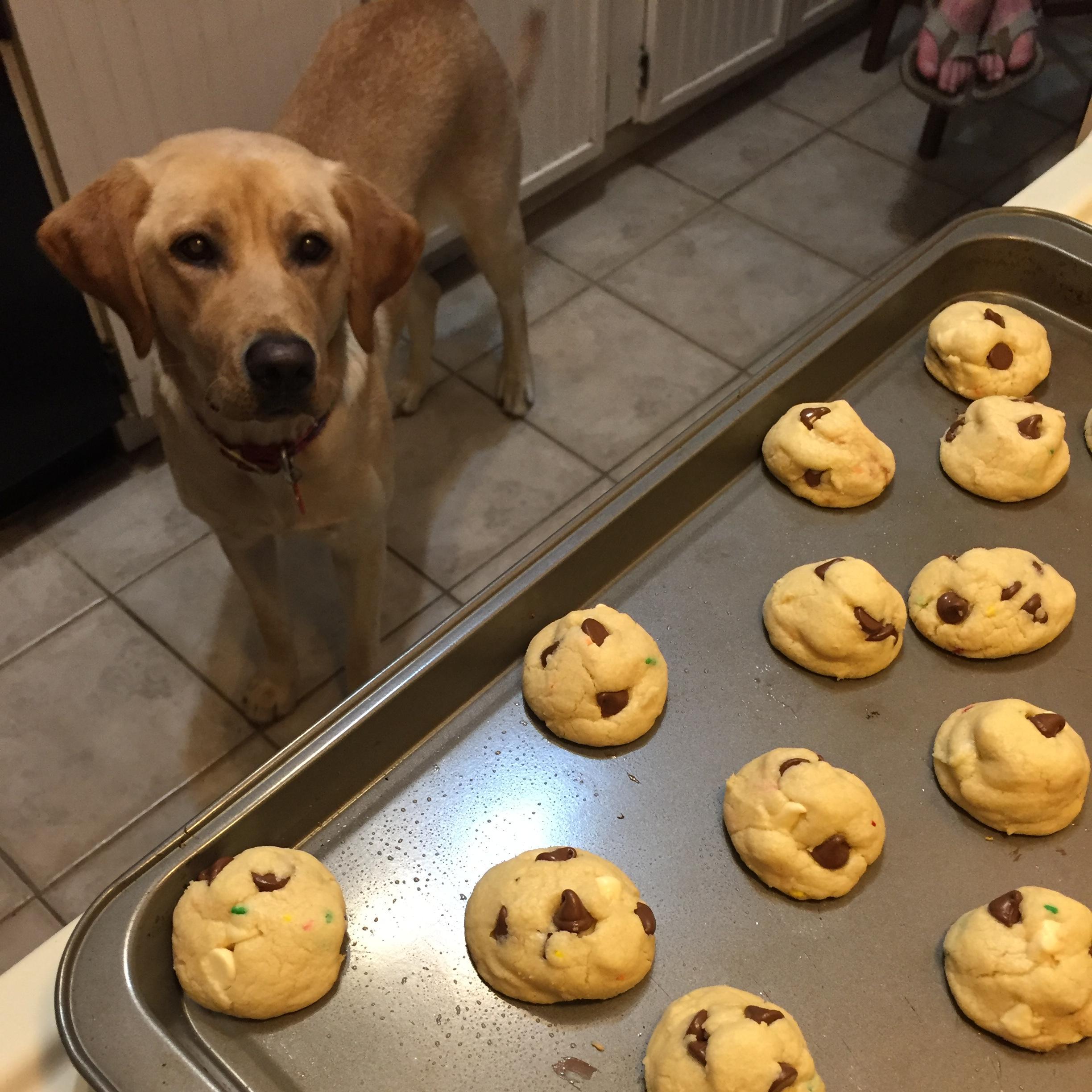 Bo and Ella baked Mathilde his FAMOUS chocolate chip cookies. She knew she was in deep.