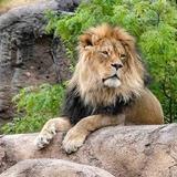 Utah's Hogle Zoo