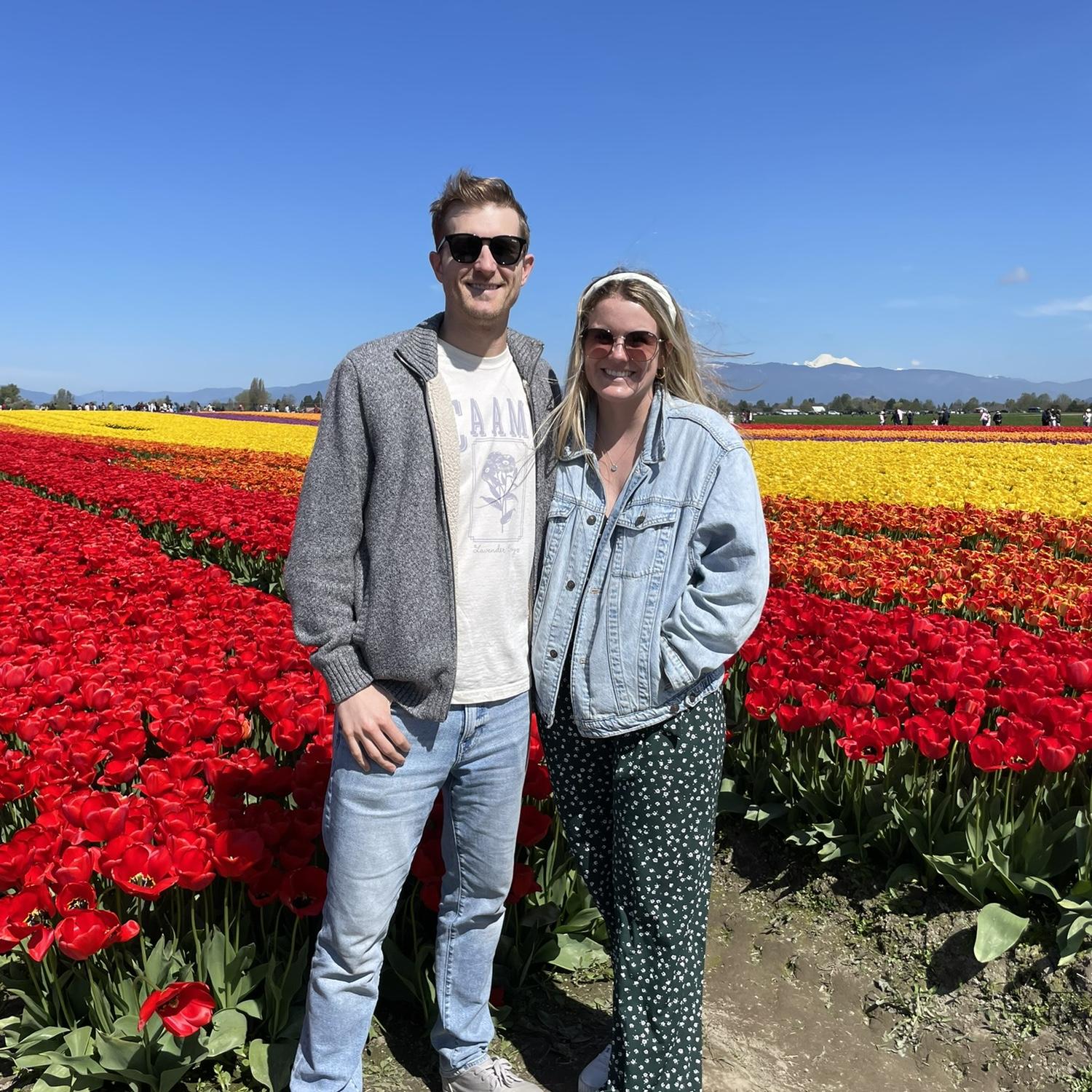 April 13, 2024- A tulip farm in northern Washington!