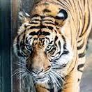 San Diego Zoo
