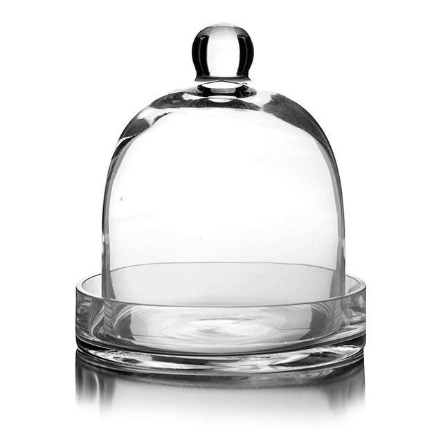 CYS EXCEL Bell Dome Cloche with Glass Base (H:8" W:7") | Multiple Size Choices Terrarium Jar Plant Cover | Cake Dessert Display