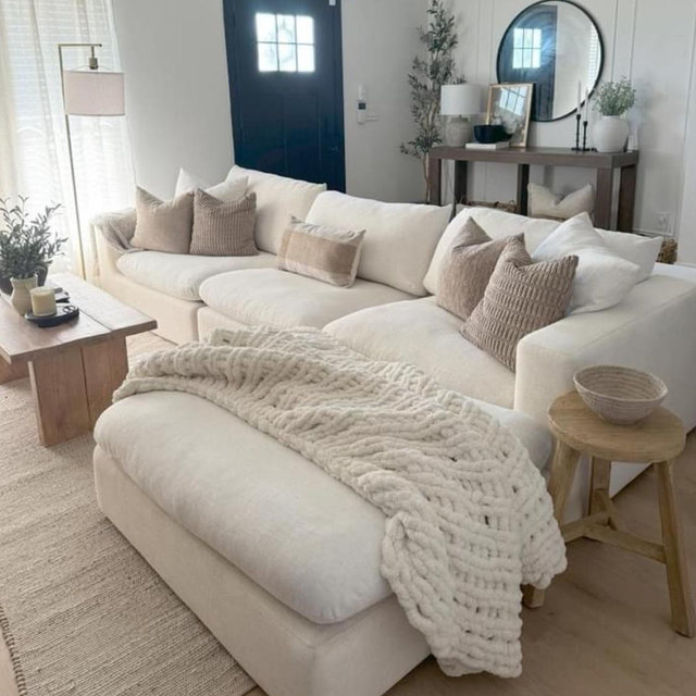 Our Dream Couch