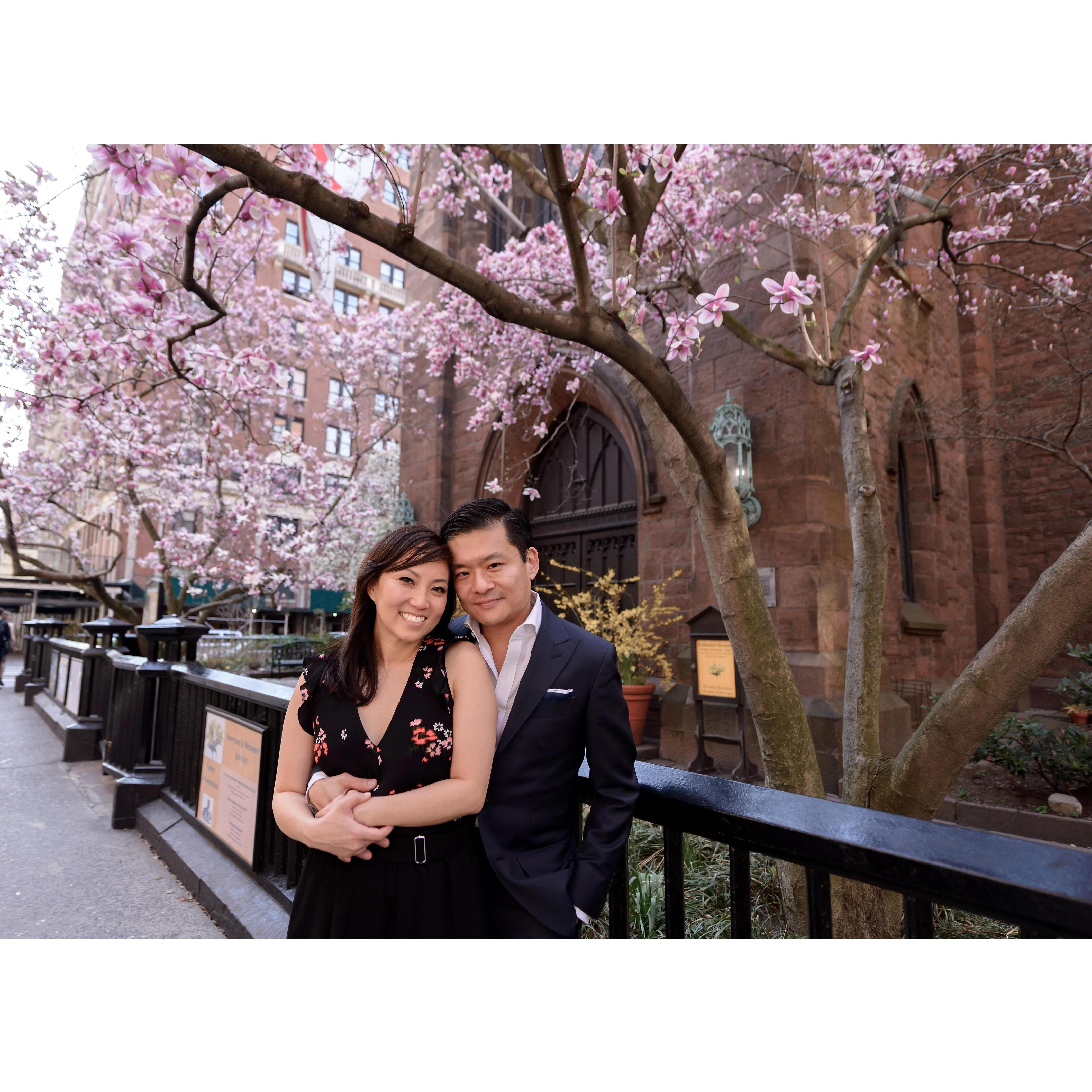Fifth Avenue between 10th and 11th streets. And the blossoms had just arrived.