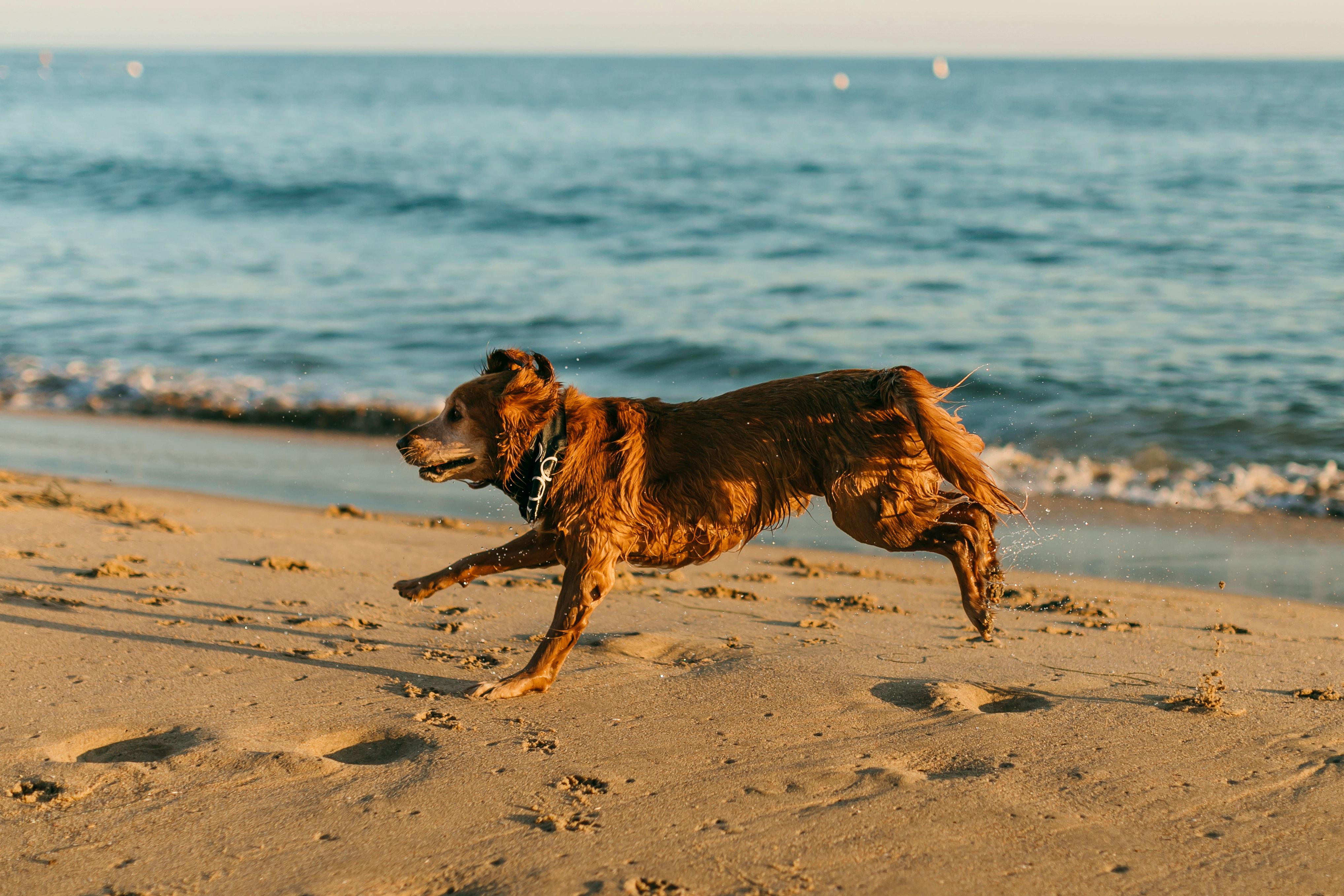 The Wedding Website of Nicole Katelyn Shook and John Duross O’Bryan III