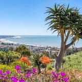 Ventura Botanical Gardens