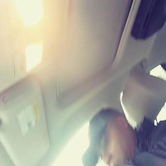 Road Trip