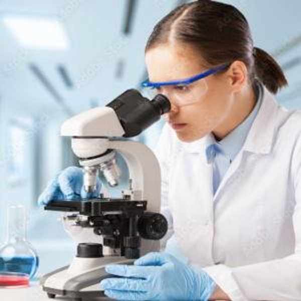 Continuing Education Fund