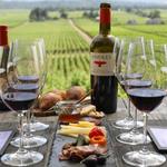 Gilroy Wine Tasting