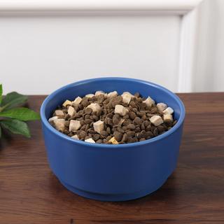 Casa Pet Bowl