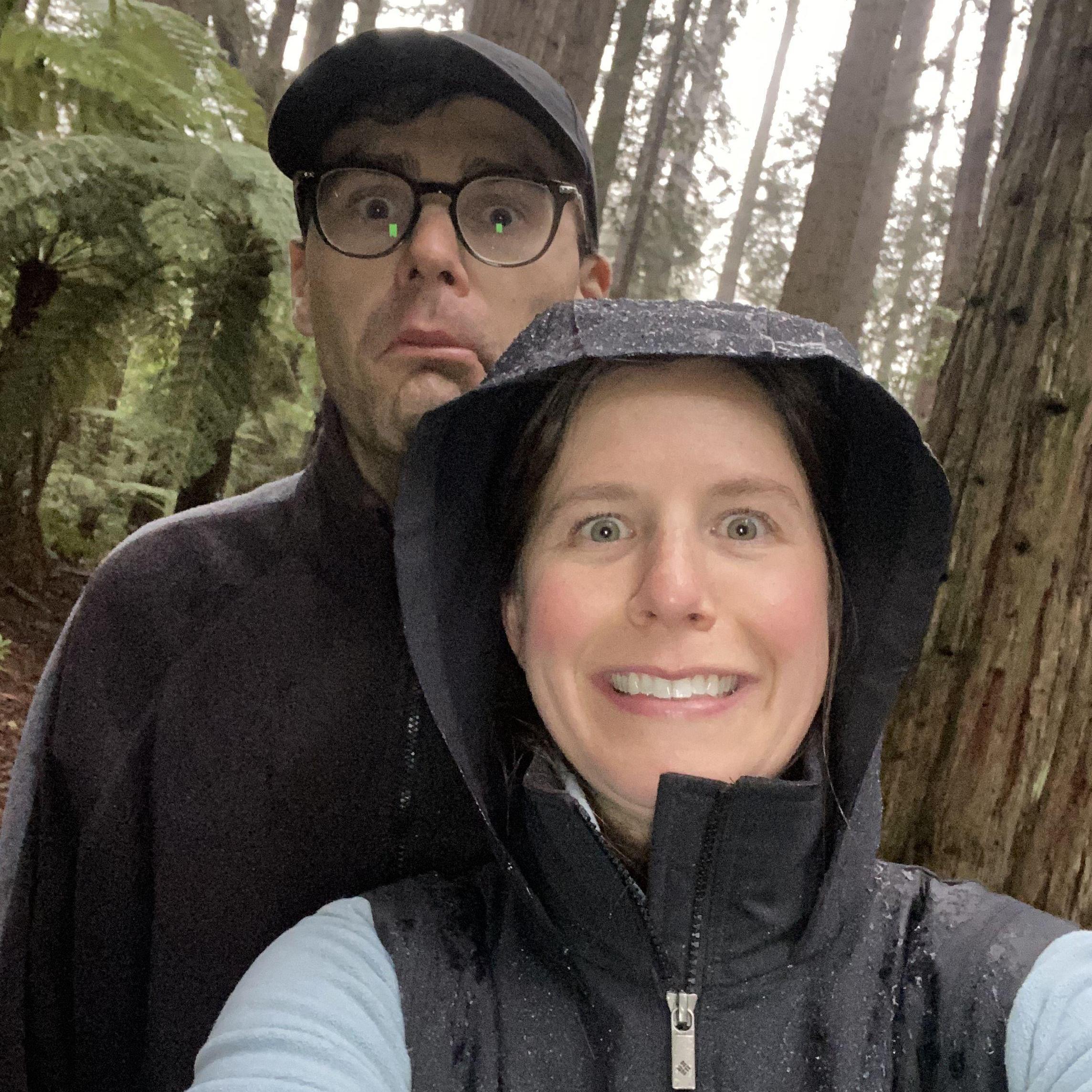 Redwood Forest in New Zealand