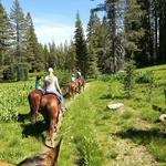 Graeagle Stables - Horseback Trail Rides