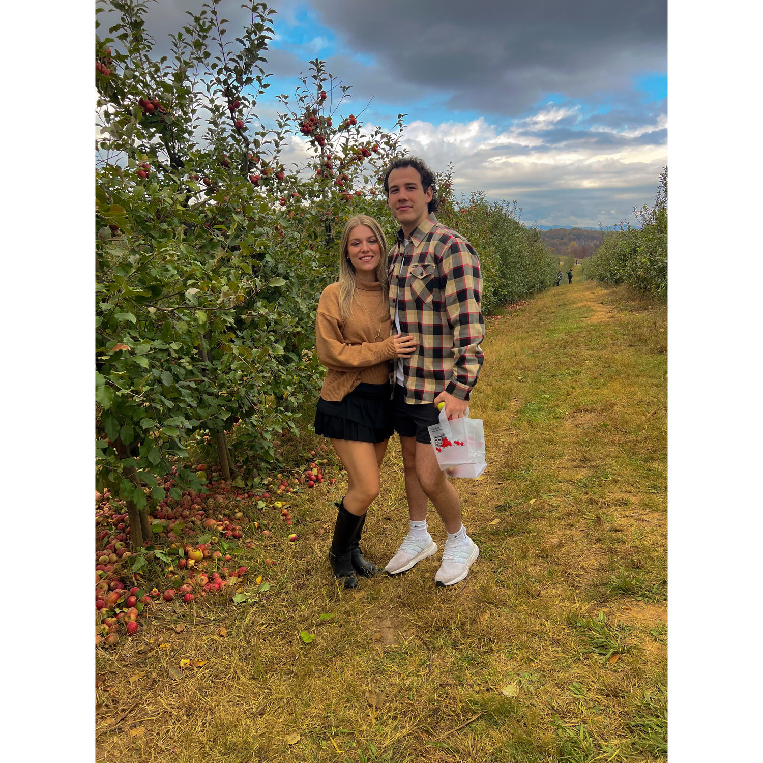 Apple picking in Blue Ridge