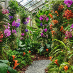Marie Selby Botanical Gardens Historic Spanish Point campus