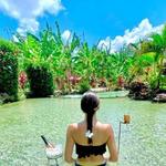Tao Paradise