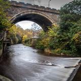 Water of Leith Walkway